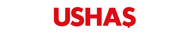 USHAŞ — Uluslararası Sağlık Hizmetleri A.Ş. (T.C. Sağlık Bakanlığı ilgili kuruluşu)