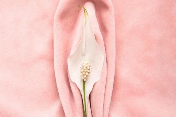 Clitoral Hood Reduction
