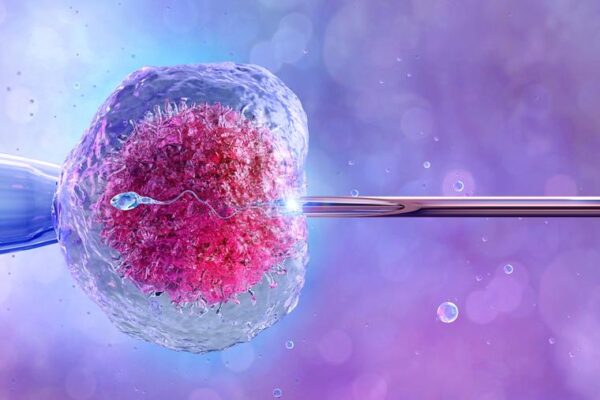 Embryo Freezing