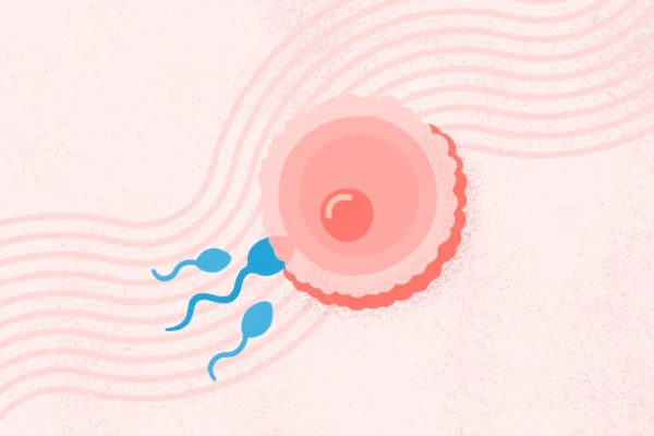 Fertility Investigations & Check Up