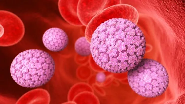 HPV Test & HPV Vaccination