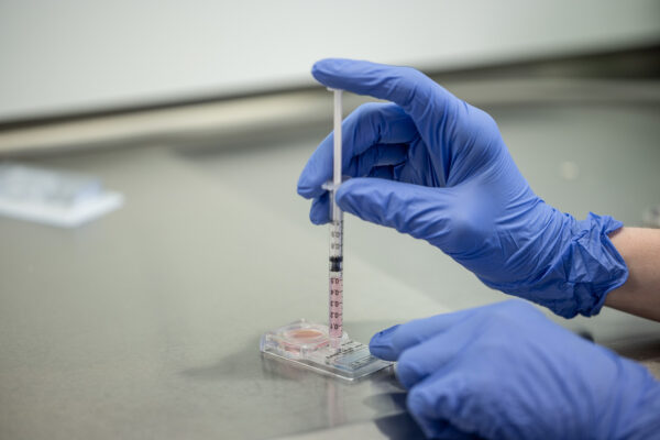Microfluidic Sperm Sorting