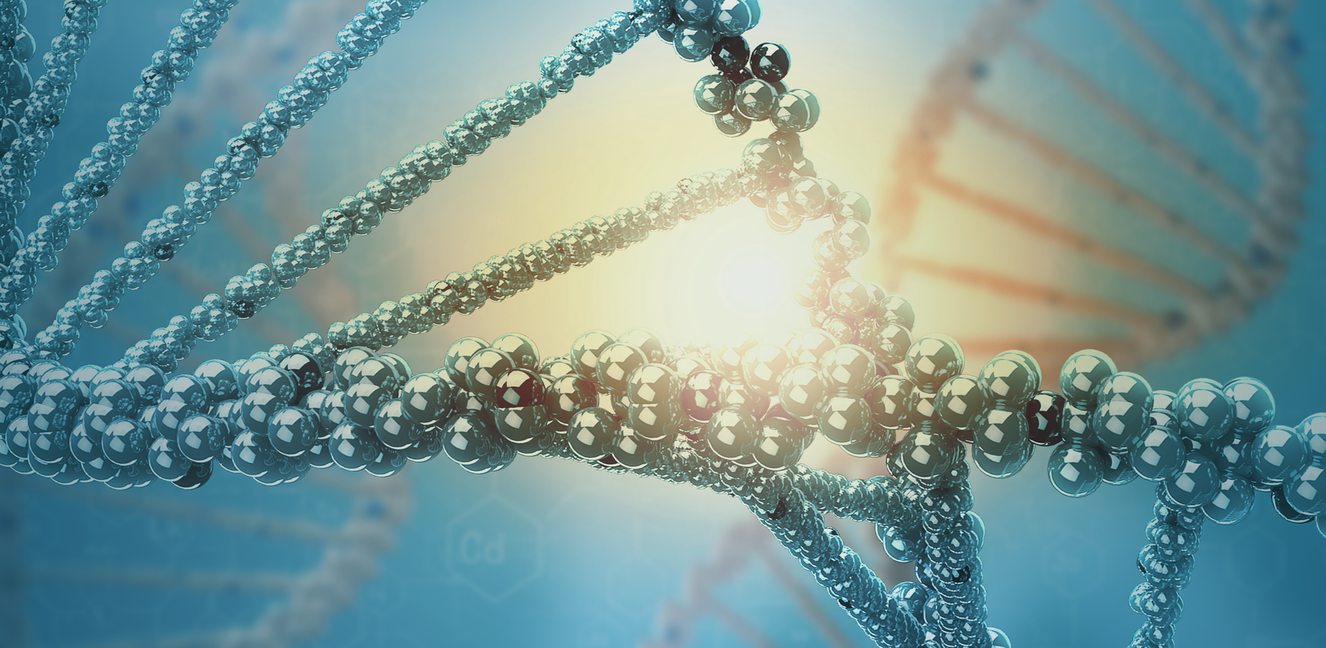 PGT-SR — Preimplantation Genetic Testing for Structural Rearrangements