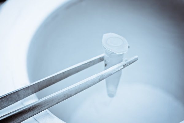 Embryo Storage (Cryopreservation)